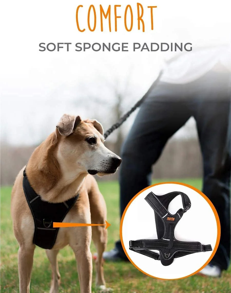 Sport Harness, No-Pull Front Attachment Dog Harness, Neoprene Padded Lining, Reflective Stitching, 2 Leash Attachment Options, Our Sizing Is Unique, Please Measure Your Pets