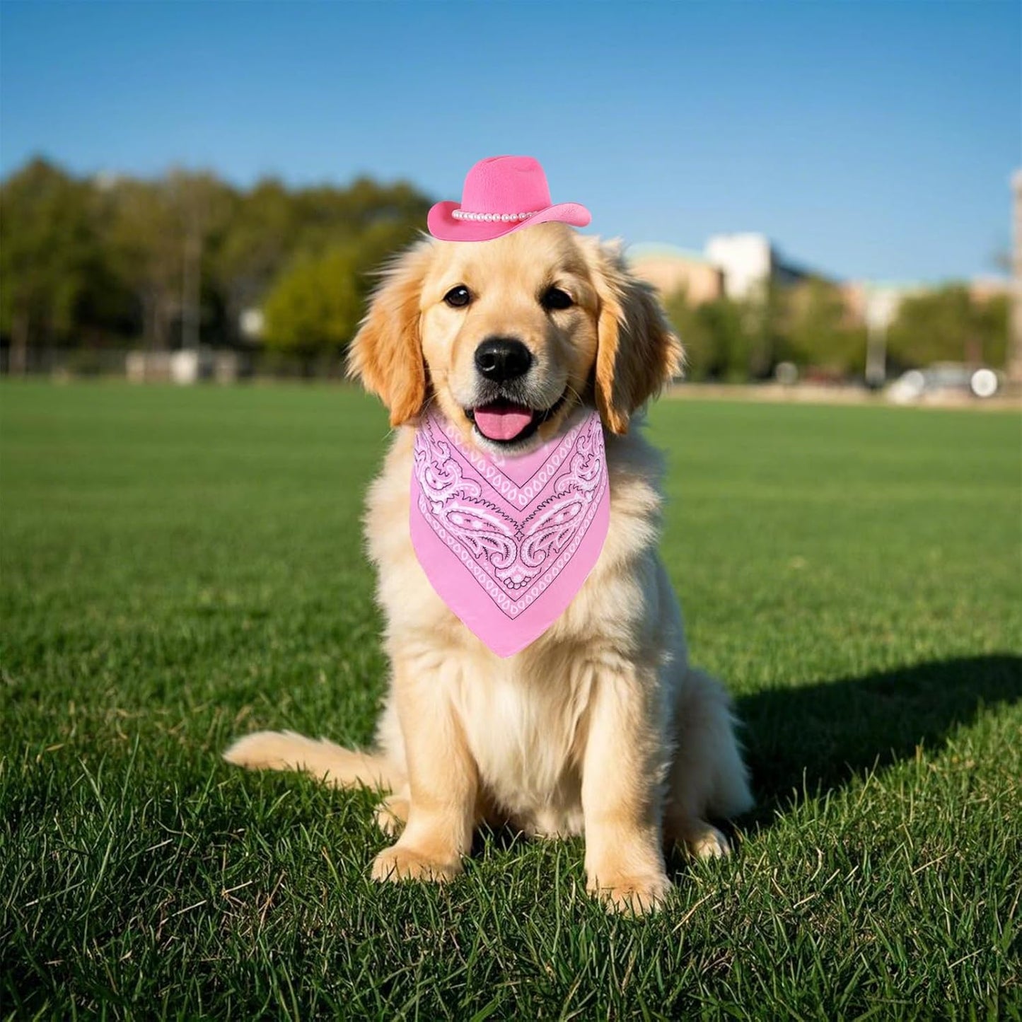 Accessori per Costume Da Cowboy per Animali Domestici, Costumi Di Halloween per Cani Di Piccola Taglia, Gatto, Cappello Da Cowboy E Bandana, Sciarpa, Festa Di Halloween, Accessori per Cosplay