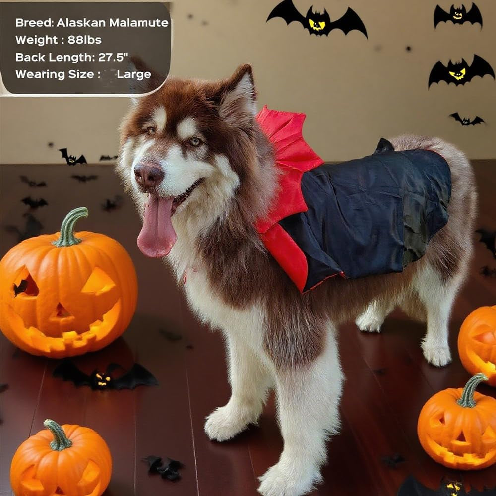 Dog Halloween Costume Large Breed,Adjustable XL XXL Big Dog Vampire Costumes,Golden Retriever German Shepherd Halloween Costume Black Red (Black, Large)