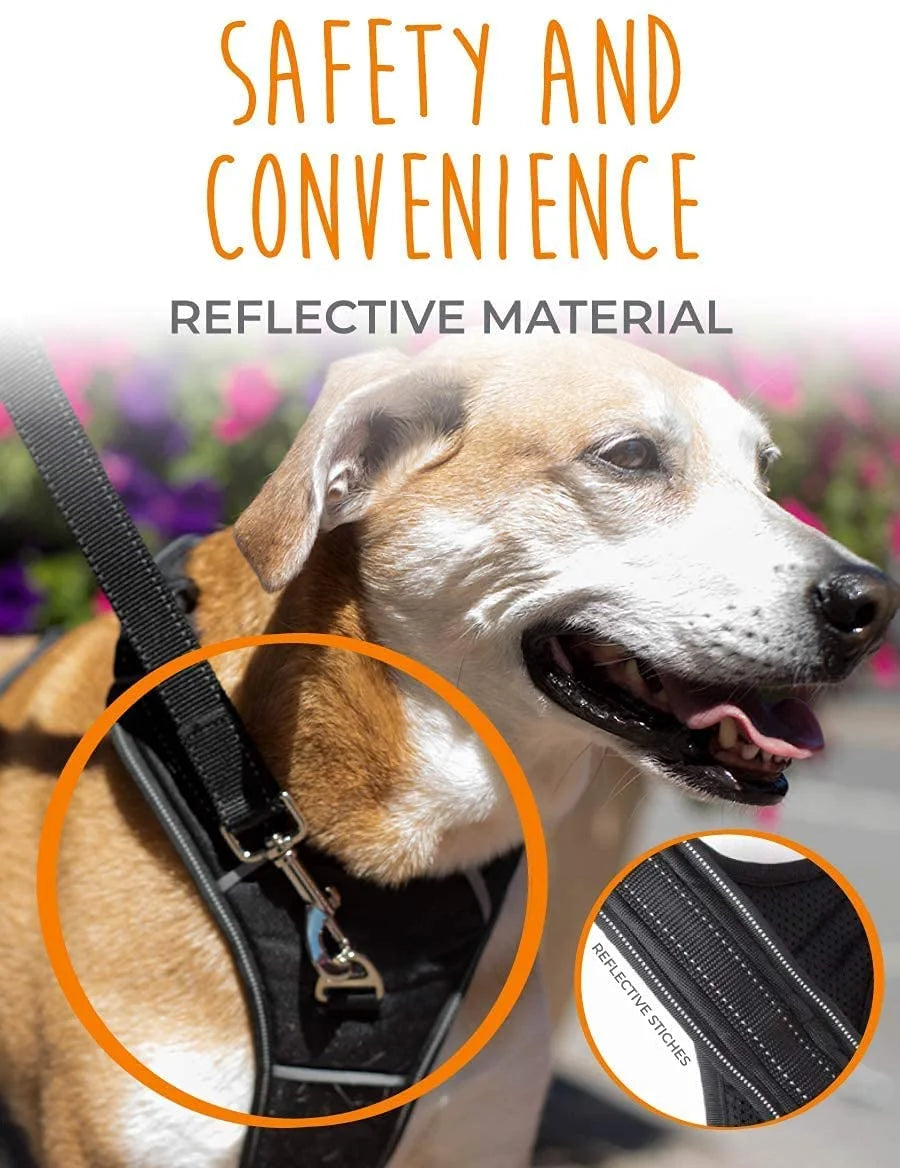 Sport Harness, No-Pull Front Attachment Dog Harness, Neoprene Padded Lining, Reflective Stitching, 2 Leash Attachment Options, Our Sizing Is Unique, Please Measure Your Pets