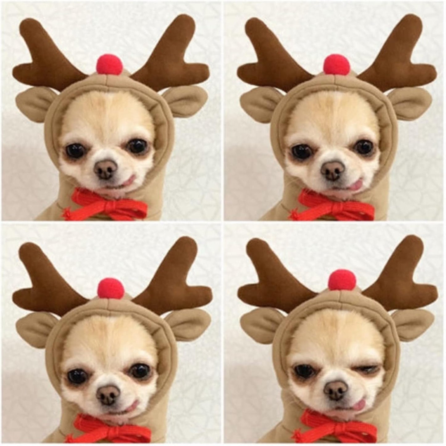 Warm Dog Winter Clothes Cute Fruit Dog Coat Hoodies Fleece Pet Dogs Costume Jacket for French Bulldog Chihuahua Ropa Para Perro(Coffee,M)