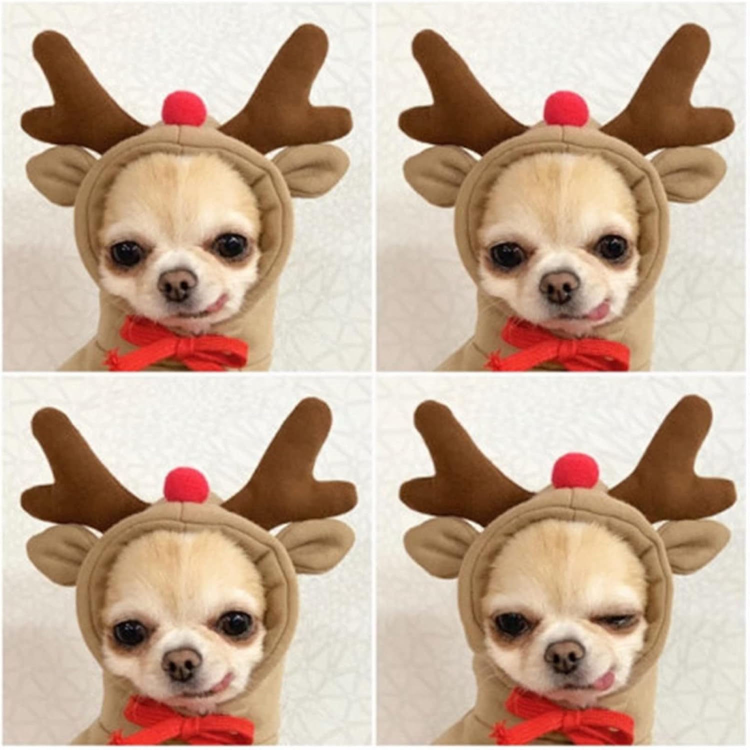 Warm Dog Winter Clothes Cute Fruit Dog Coat Hoodies Fleece Pet Dogs Costume Jacket for French Bulldog Chihuahua Ropa Para Perro(Coffee,M)