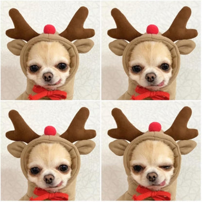 Warm Dog Winter Clothes Cute Fruit Dog Coat Hoodies Fleece Pet Dogs Costume Jacket for French Bulldog Chihuahua Ropa Para Perro(Coffee,M)