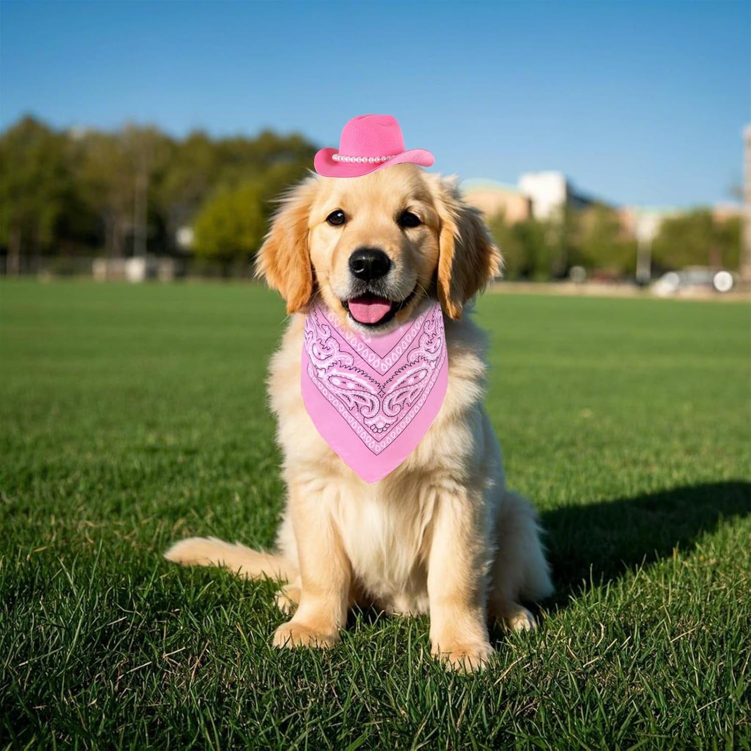 Accessori per Costume Da Cowboy per Animali Domestici, Costumi Di Halloween per Cani Di Piccola Taglia, Gatto, Cappello Da Cowboy E Bandana, Sciarpa, Festa Di Halloween, Accessori per Cosplay