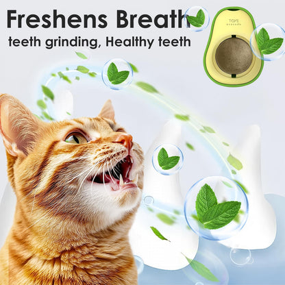 Cat Nip Ball, Catnip Wall Balls Snack Teeth Washing Healthy Rotatable Treats Toys, Kitten Playing Toy for Indoor, Cats Soothing Catnip (Avocado)