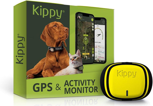 EVO | GPS per Cani - Localizzatore per Cani E Gatti Impermeabile Con GPS per Collare - Tracker Di Attività E Salute Del Tuo Cane, Con Recinto Digitale E Notifiche - Colore Giallo Fluo